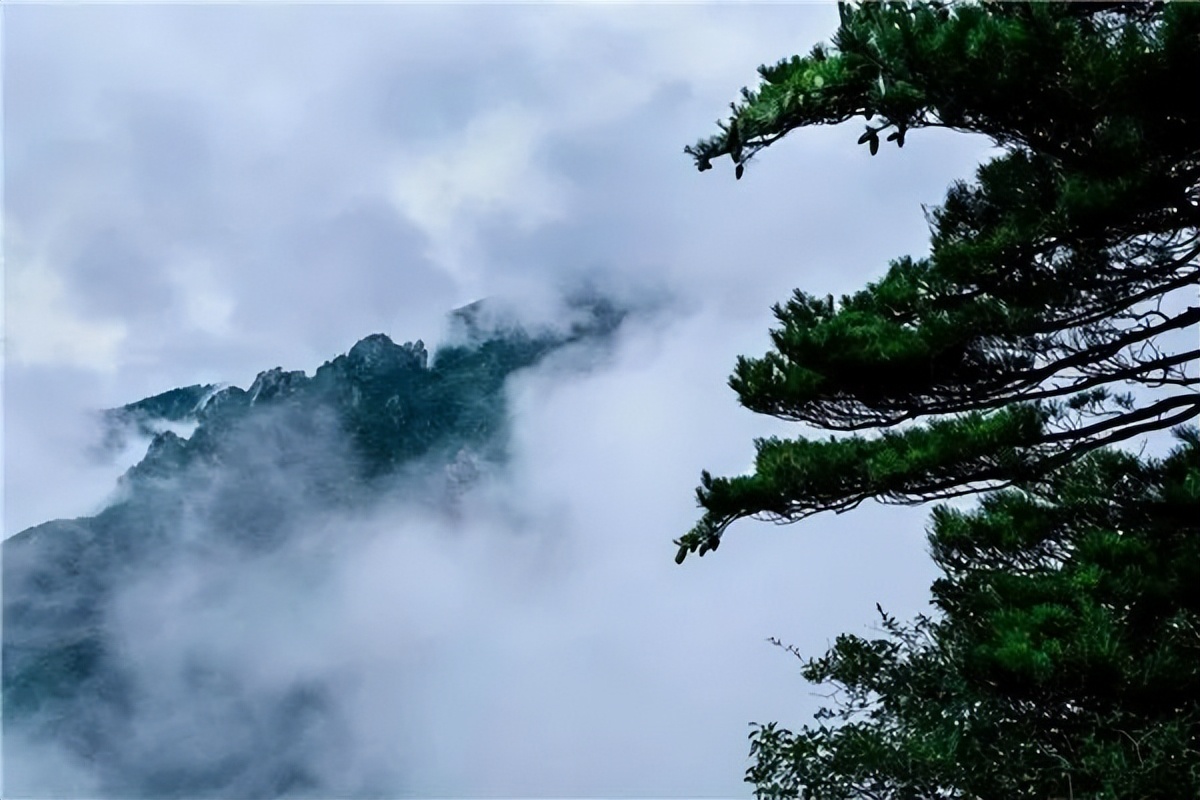 牛背梁景区旅游攻略,牛背梁景点在哪儿买门票