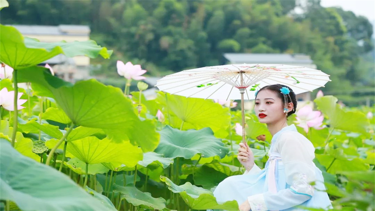 雅茶品禅味,茶烟养性灵