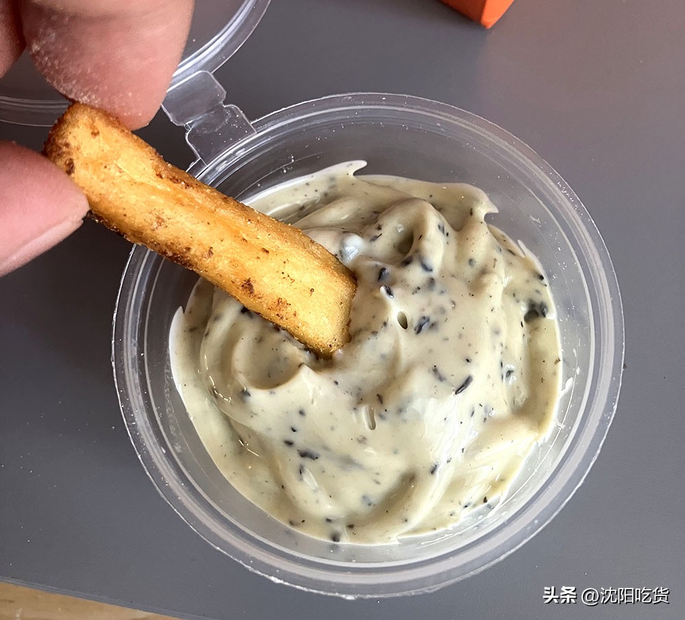 这是我吃过最贵的芝士披萨,这是我吃过的最美味的披萨饼英文