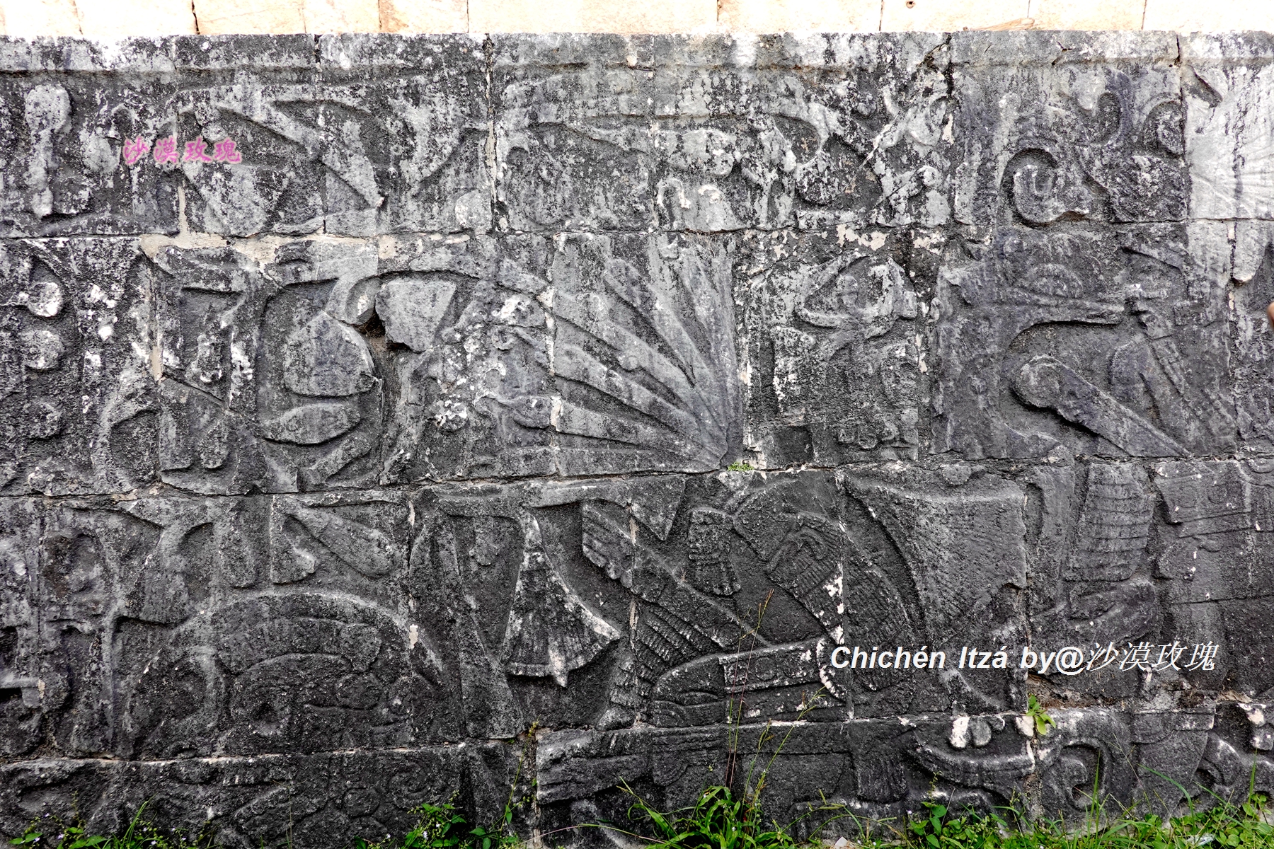 墨西哥有多血腥,墨西哥最凶残的黑历史