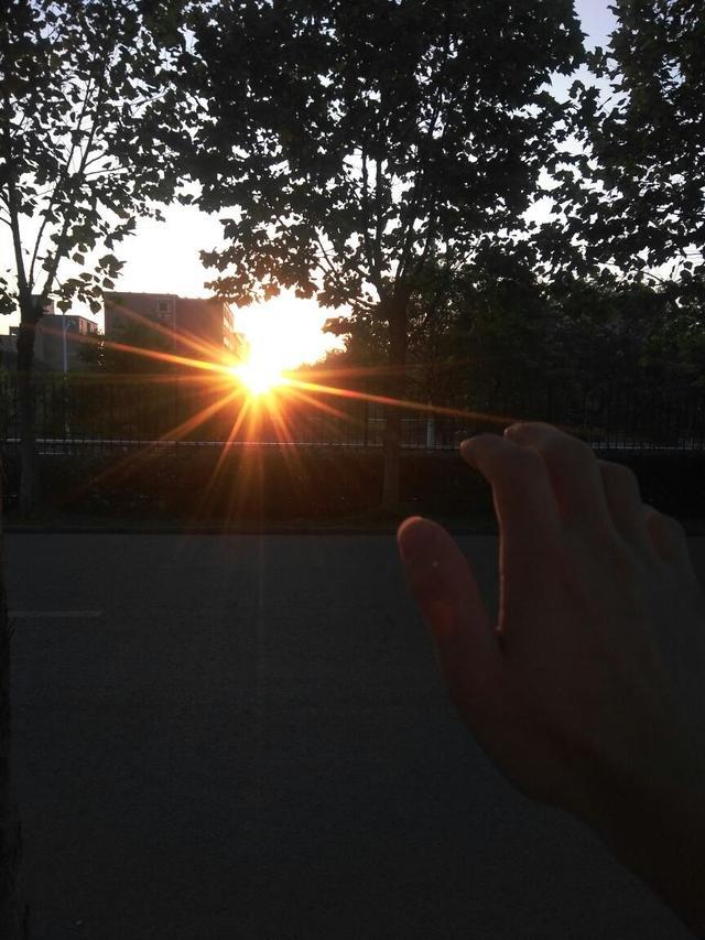 这才是大学该有的生活,大学的生活一天是怎么样的