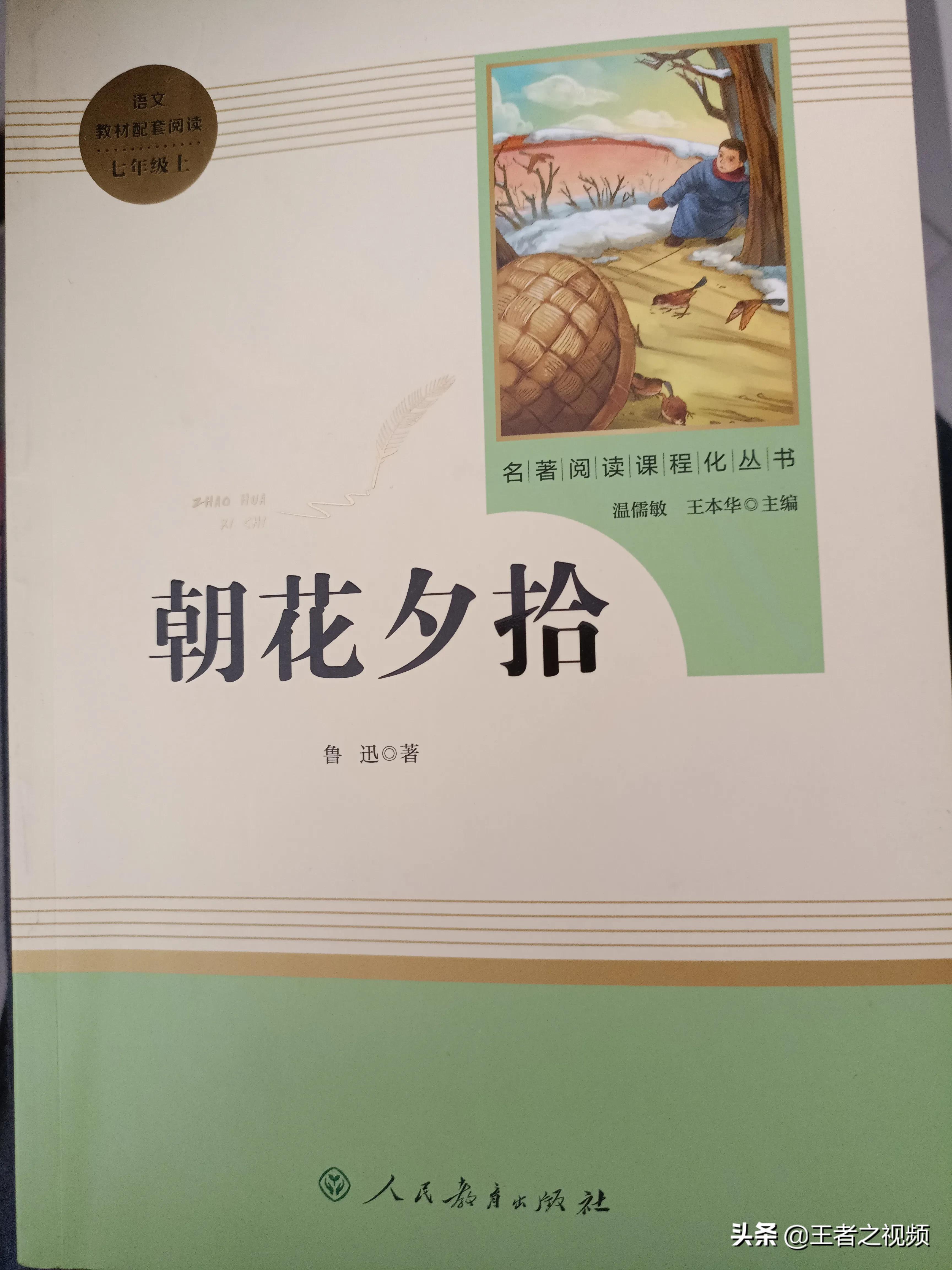 朝花夕拾中狗猫鼠分别比喻什么,朝花夕拾狗猫鼠的优美词句赏析