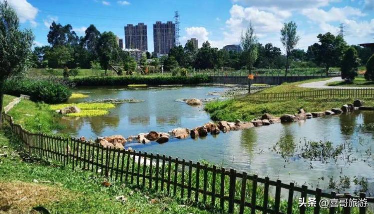 深圳龙华区旅游攻略,深圳龙华区游玩攻略自驾游