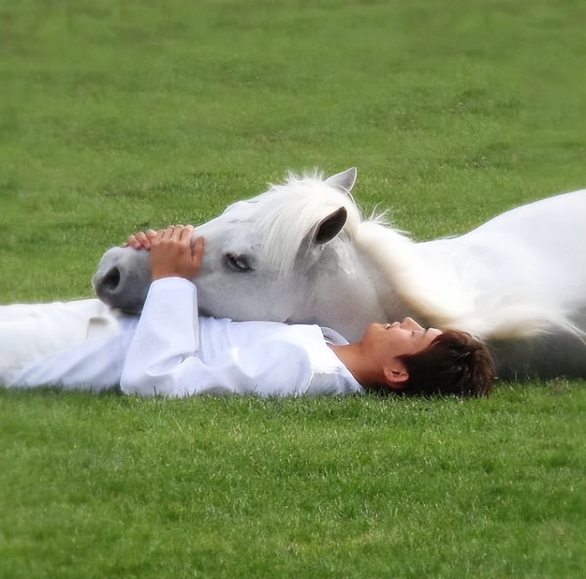 100个难得一见照片,难得一见12张照片