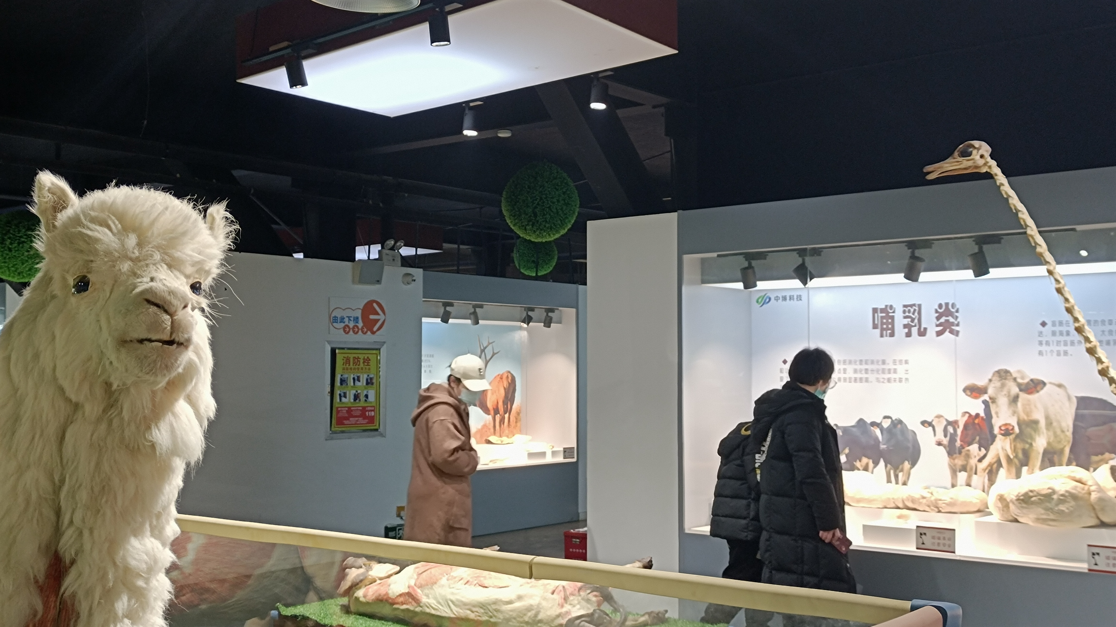 郑州室内旅游攻略必去景点,郑州景点室内游玩攻略