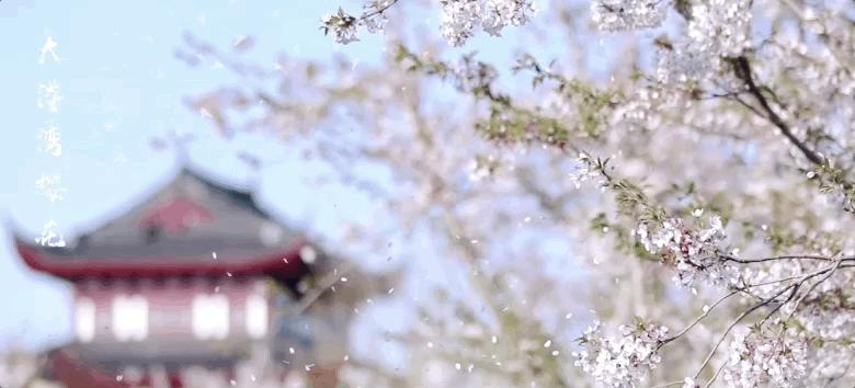 春风吹暖就业季绽放民生幸福花,春暖花开经济