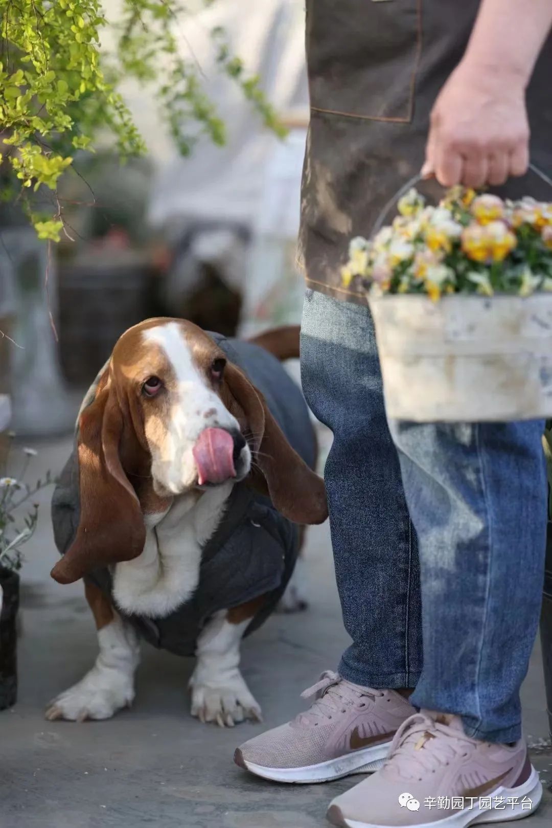 第八届园丁奖露台组《030号》洛基花园