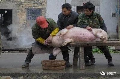 「散文苑」乡村杀猪匠尚叔