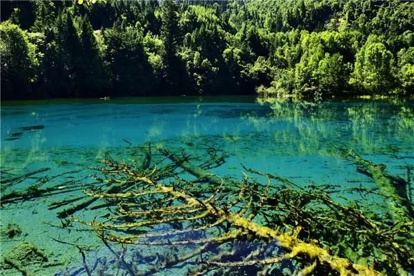 你没见过的雪后九寨沟,你见过雪景吗