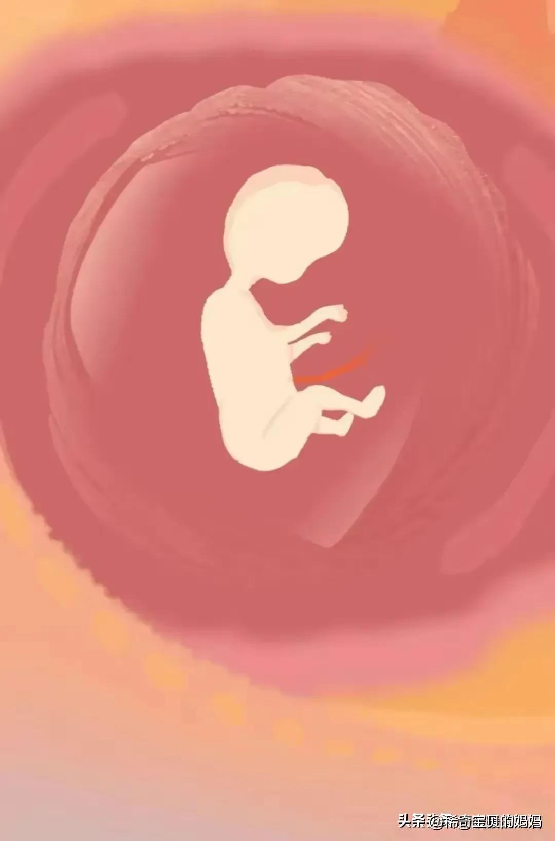 男生的“精子”进入女生体内，会发生怎样的变化？