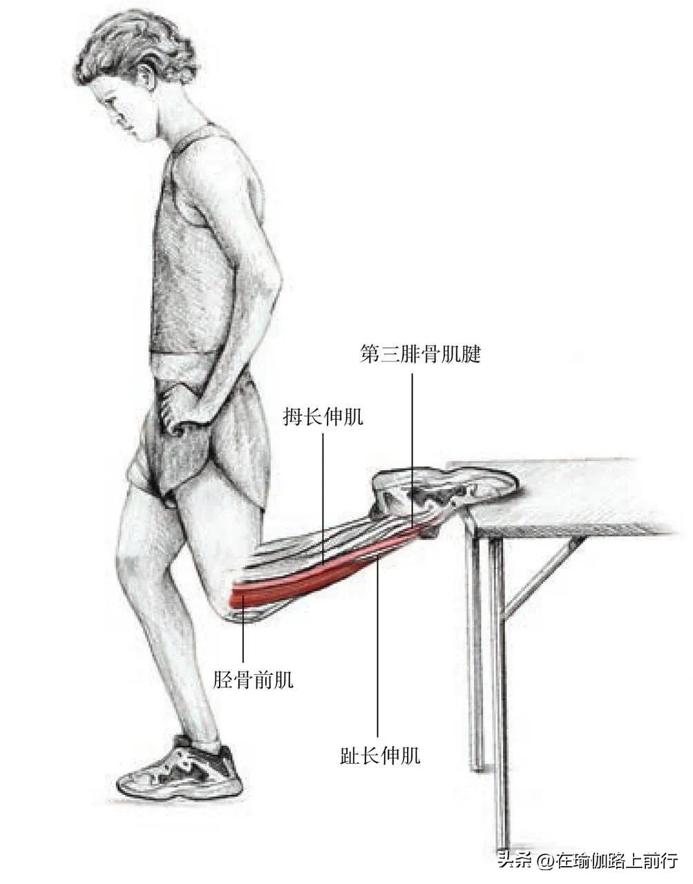 胫束拉伸的正确步骤,髌胫束拉伸