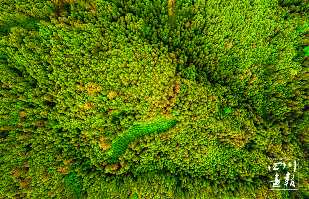 山横瓦屋披云出全诗,山横瓦屋披云出下一句是什么