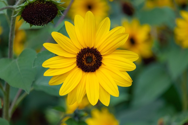 如何赢得别人的尊重,一个人要想赢得别人的尊重