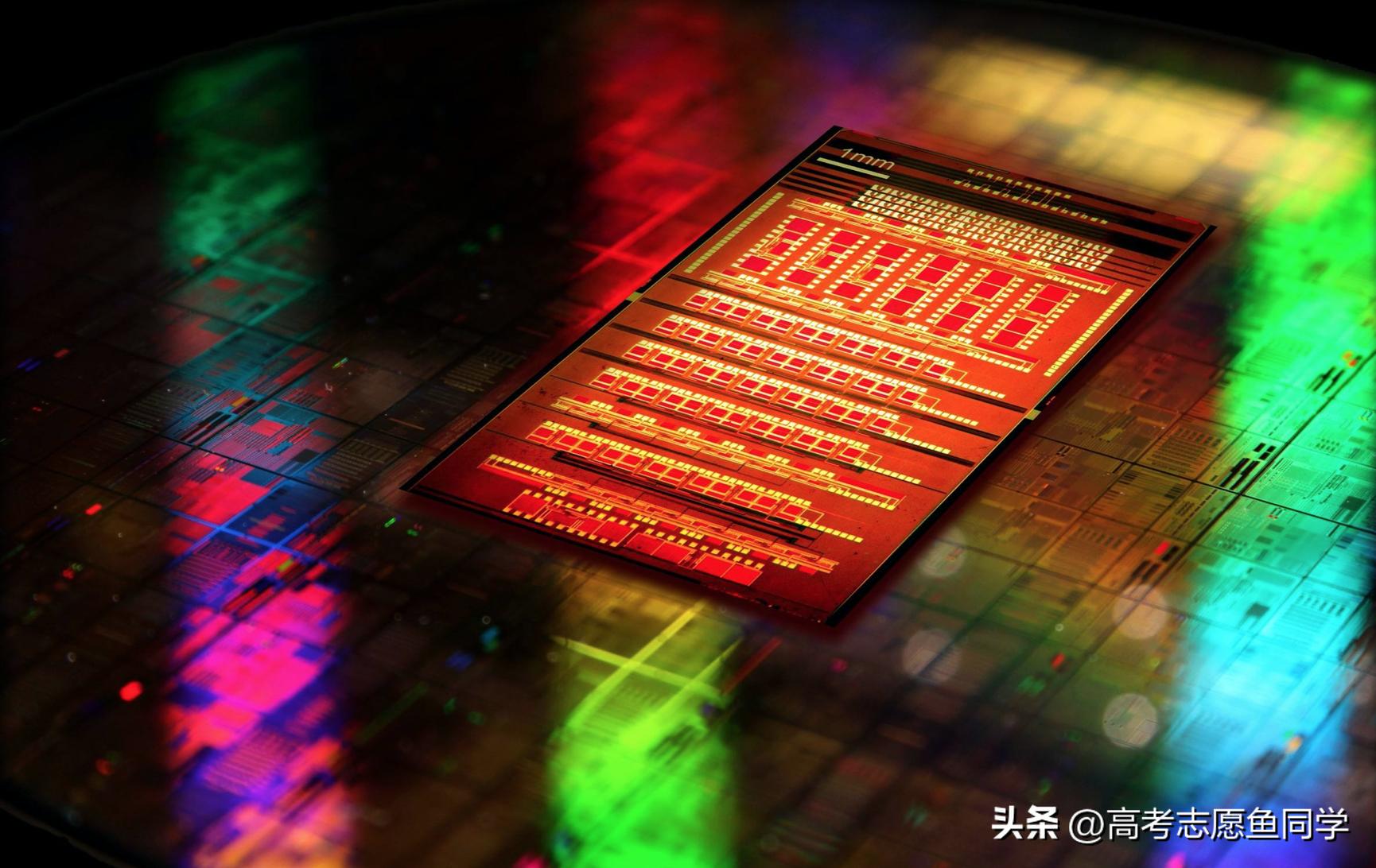 大学最热门的20个专业排名,中国大学最好就业10个专业