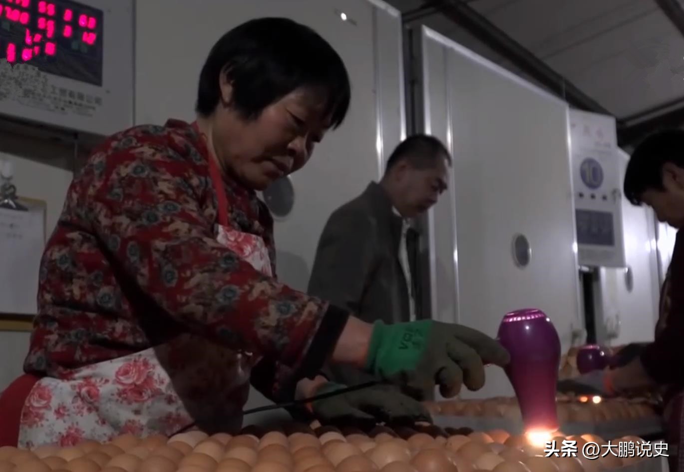 2021年山东富二代研制凤凰蛋，被嘲笑人傻钱多，一年狂赚1000万