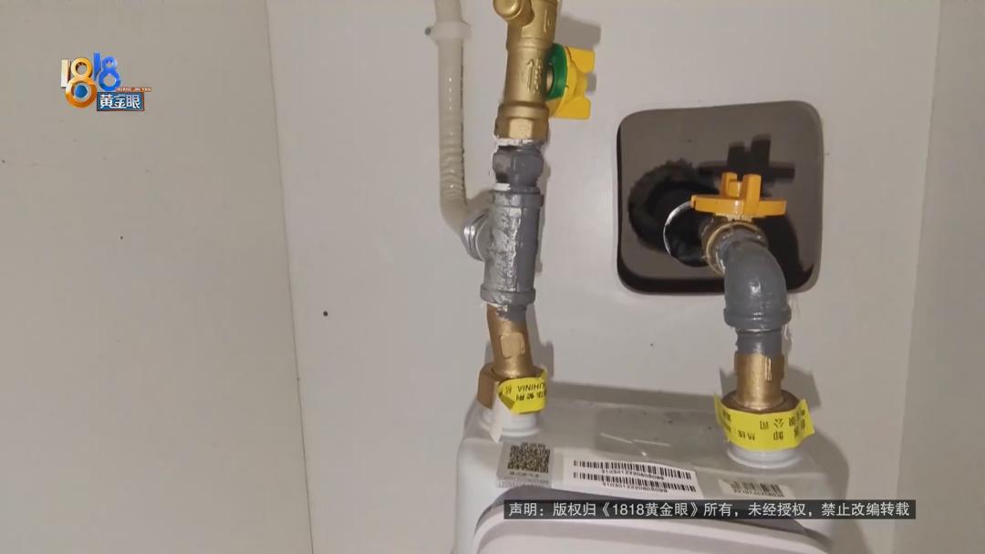 森林里发现米奇妙妙屋,米奇妙妙屋老鼠