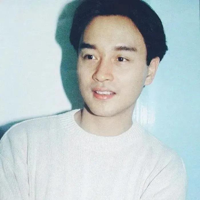 第41届香港电影金像奖颁奖刘青云,41届香港金像奖最佳男主角刘青云