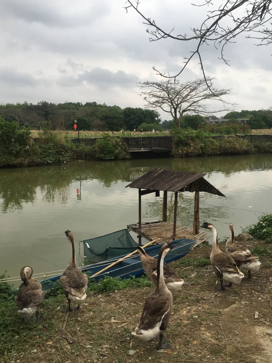 旭光电动车行,旭光车行向阳路