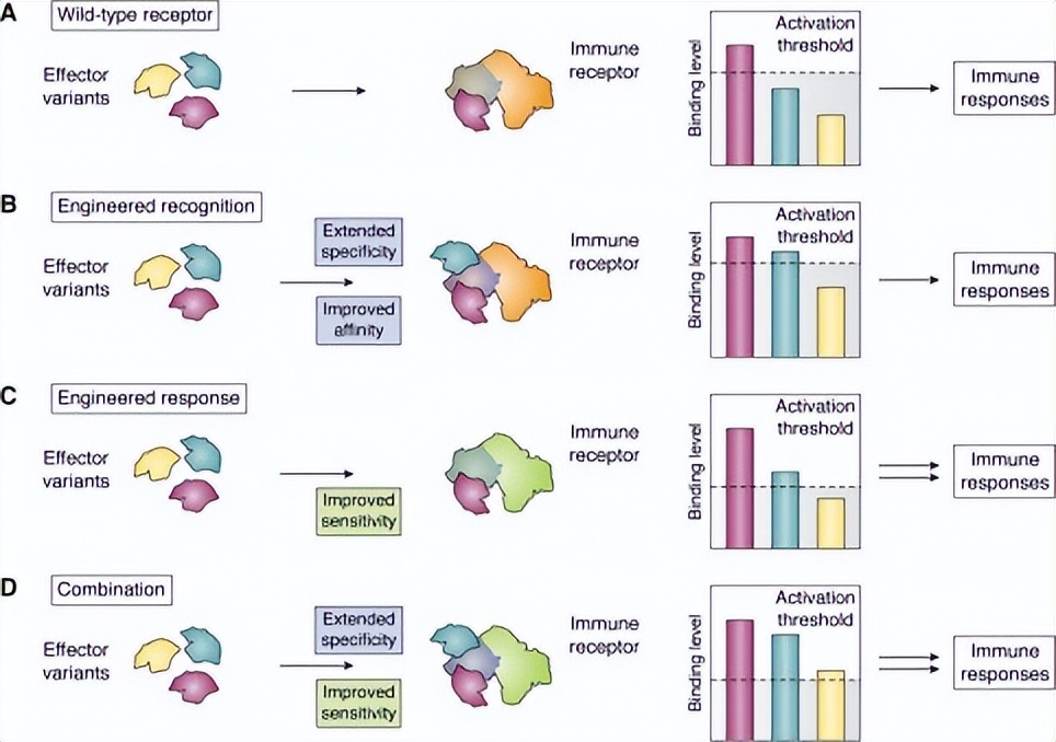 植物抗病基因的研究进展,植物免疫反应调控方法