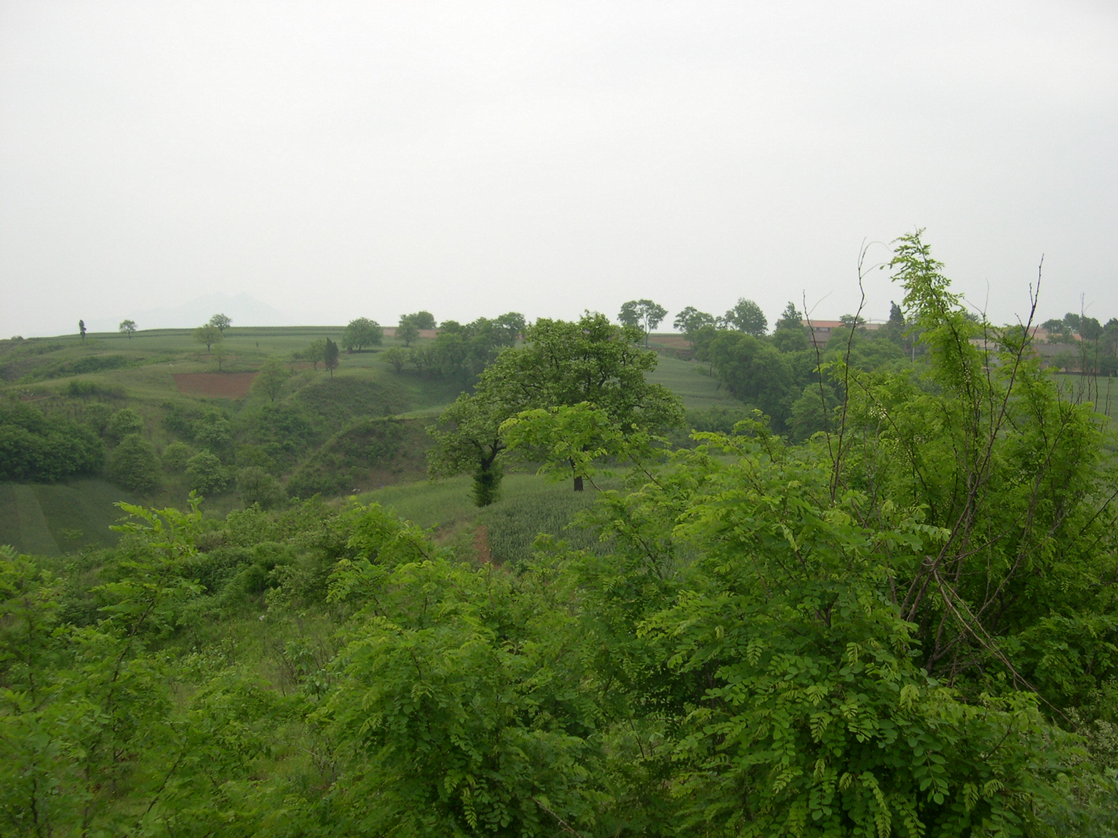 孔明：北沟这条路
