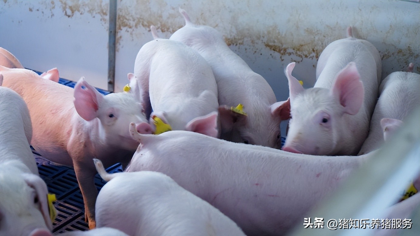 只靠一张嘴很难获得信任,仅凭一张嘴卖了房子