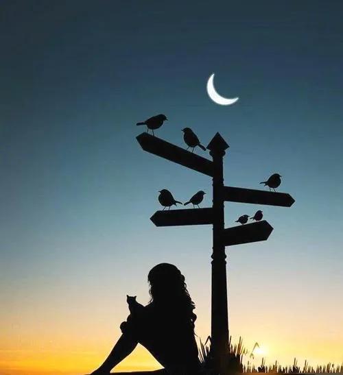 关于我你遗憾吗,关于你太多的遗憾