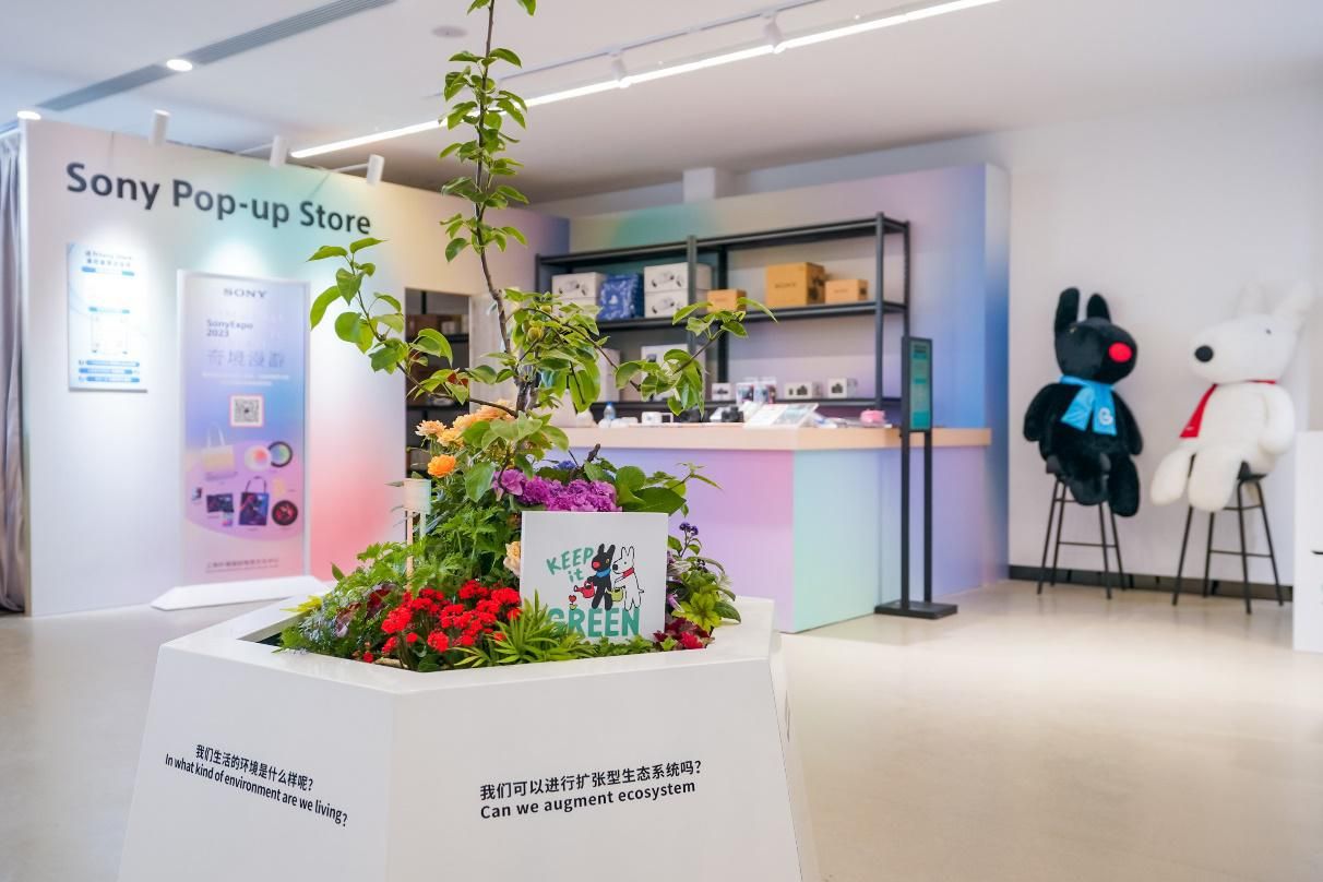 索尼发展规划,索尼全球化战略