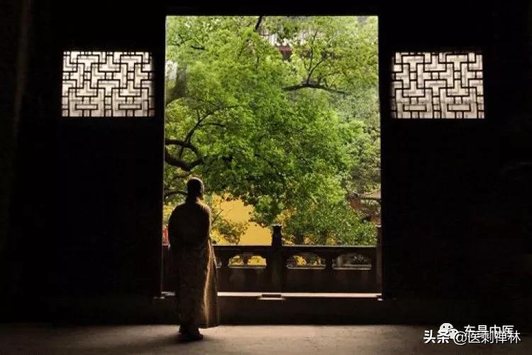 蝉的禅意深度有多深,蝉意与禅意