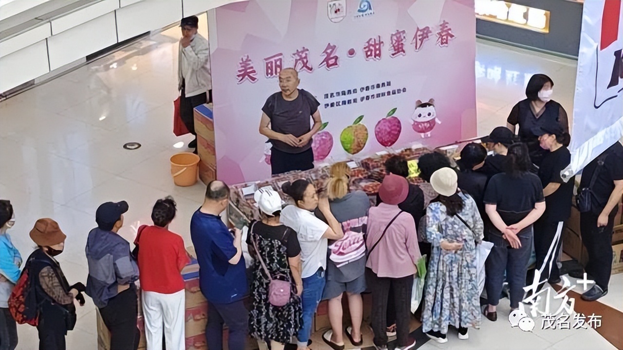 当前销售茂名荔枝电商有多少,广东荔枝电商销售