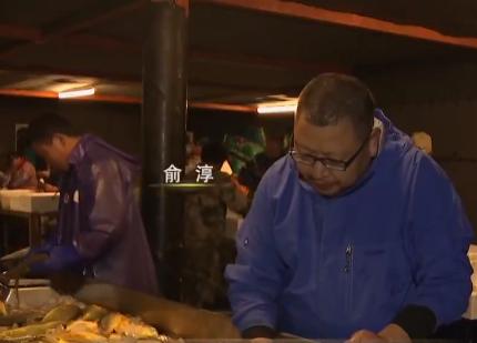 浙江人养南美对虾赚钱,浙江男人养甲鱼