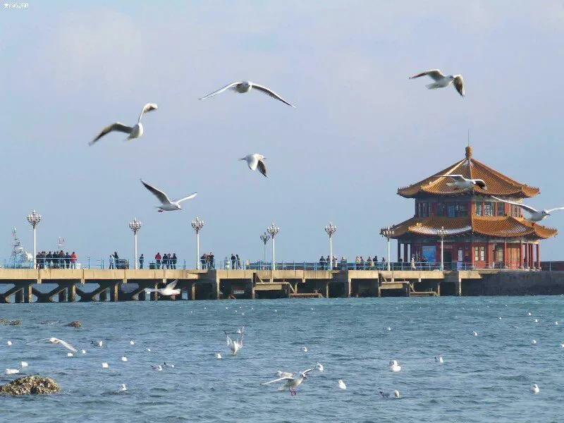 青岛蓝谷别墅能买吗,青岛蓝谷别墅值得买吗