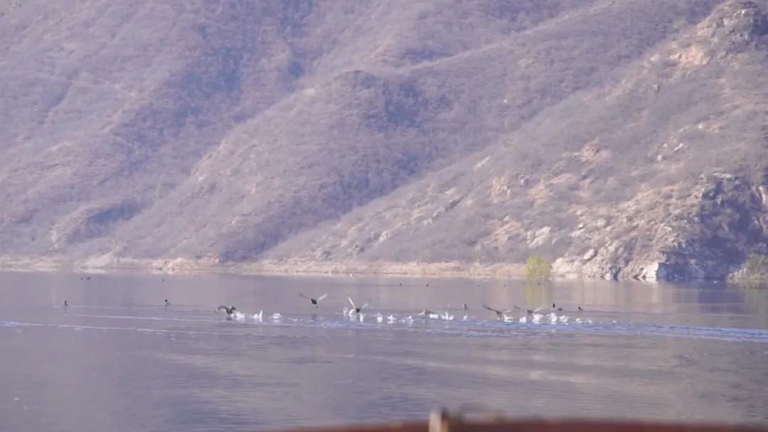 闃滃钩涓夊博瀵ㄥ啲鏃ュ皬姹熷崡,鍐棩灏忔睙鍗楅槣骞充笁宀╁