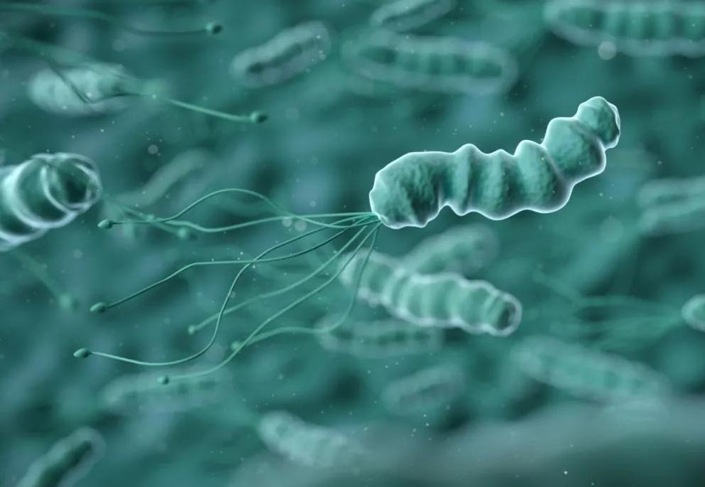 中成药治疗幽门螺杆菌有哪些,中成药治疗幽门螺杆菌最佳配方