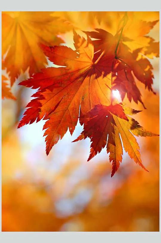 鼻窦炎建议手术亲身经历,我与鼻炎斗争二十年的感悟