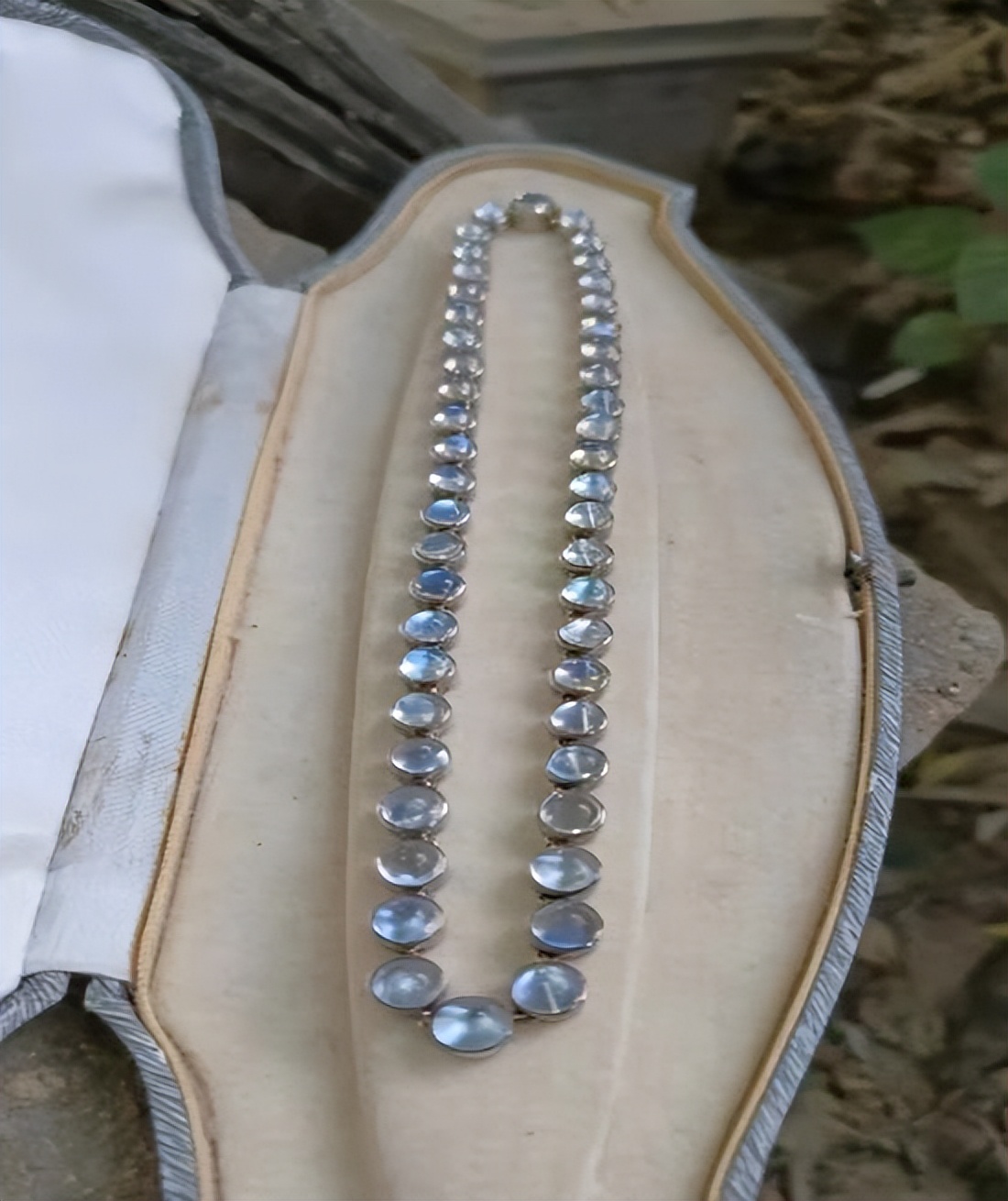 奇特的透明宝石,特殊小众的宝石