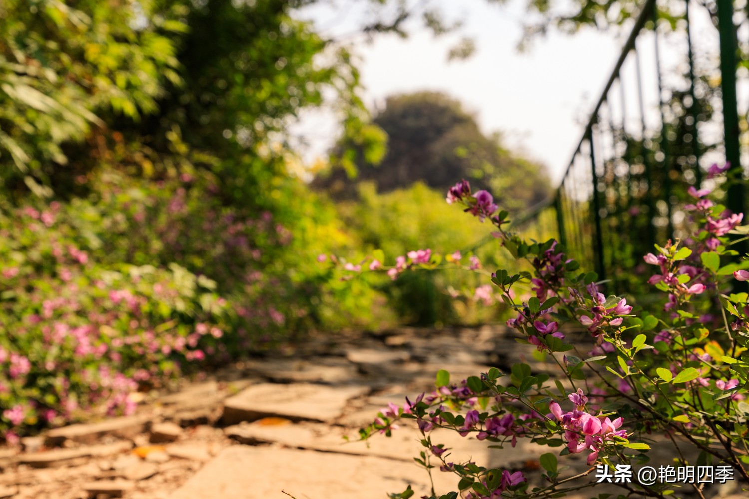 平谷老象峰风景区,北京平谷老象峰