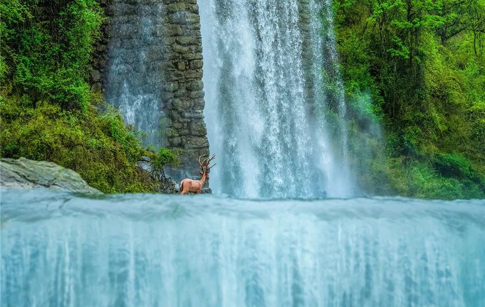 非遗奇遇记端午赛龙舟,端午节赛龙舟比较有特色文艺活动