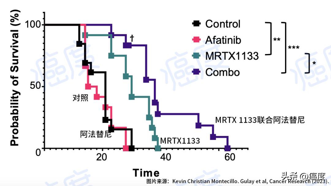 阿法替尼会缩小肿瘤吗,阿法替尼治疗肝癌吗