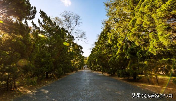青岛带孩子旅游三日游自由行攻略,五一青岛攻略三日游图文