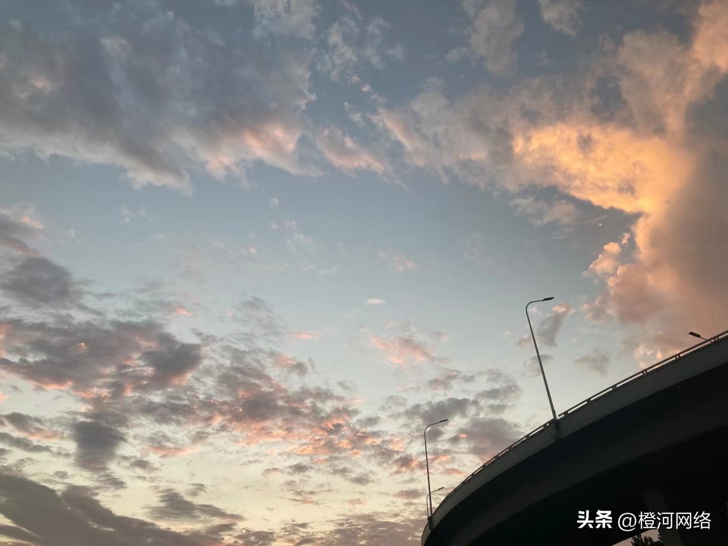 橙河网络加盟多少钱,橙河海外问卷调查是真的吗