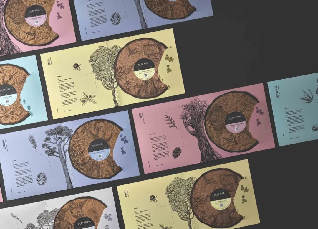 2022韩国K-设计大奖包装作品