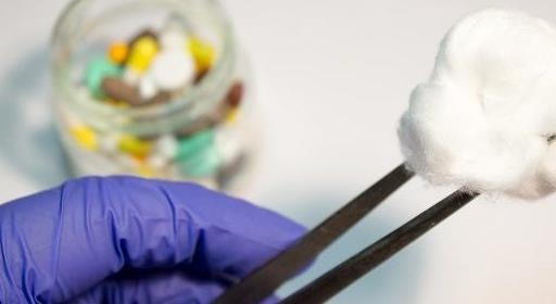 养长毛腊肠犬的注意事项,养狗心得体会