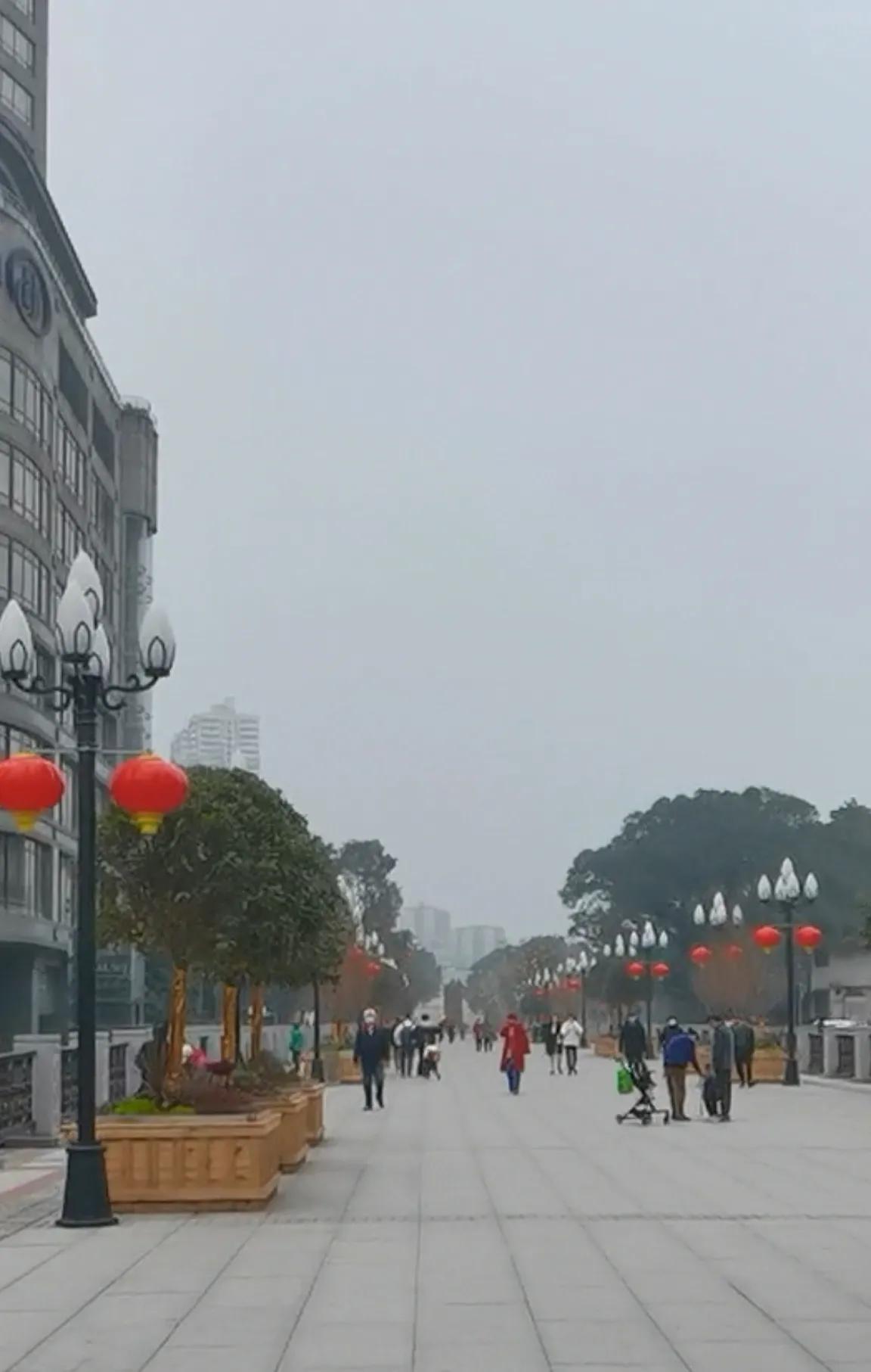 春游赏花登高赏景,春游赏花感受春天的气息