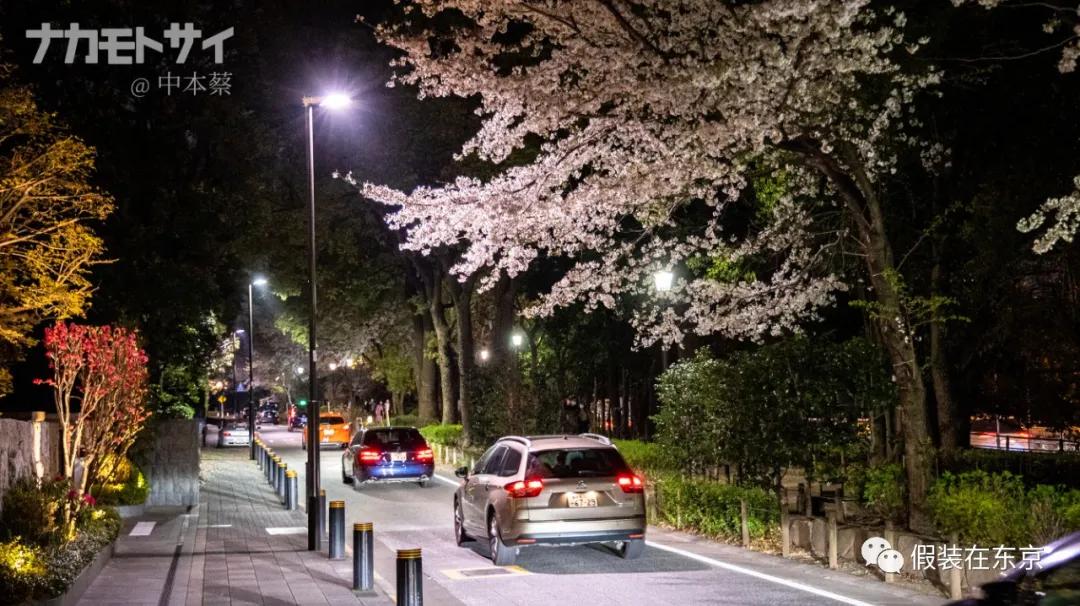 365张照片回顾,365张相片