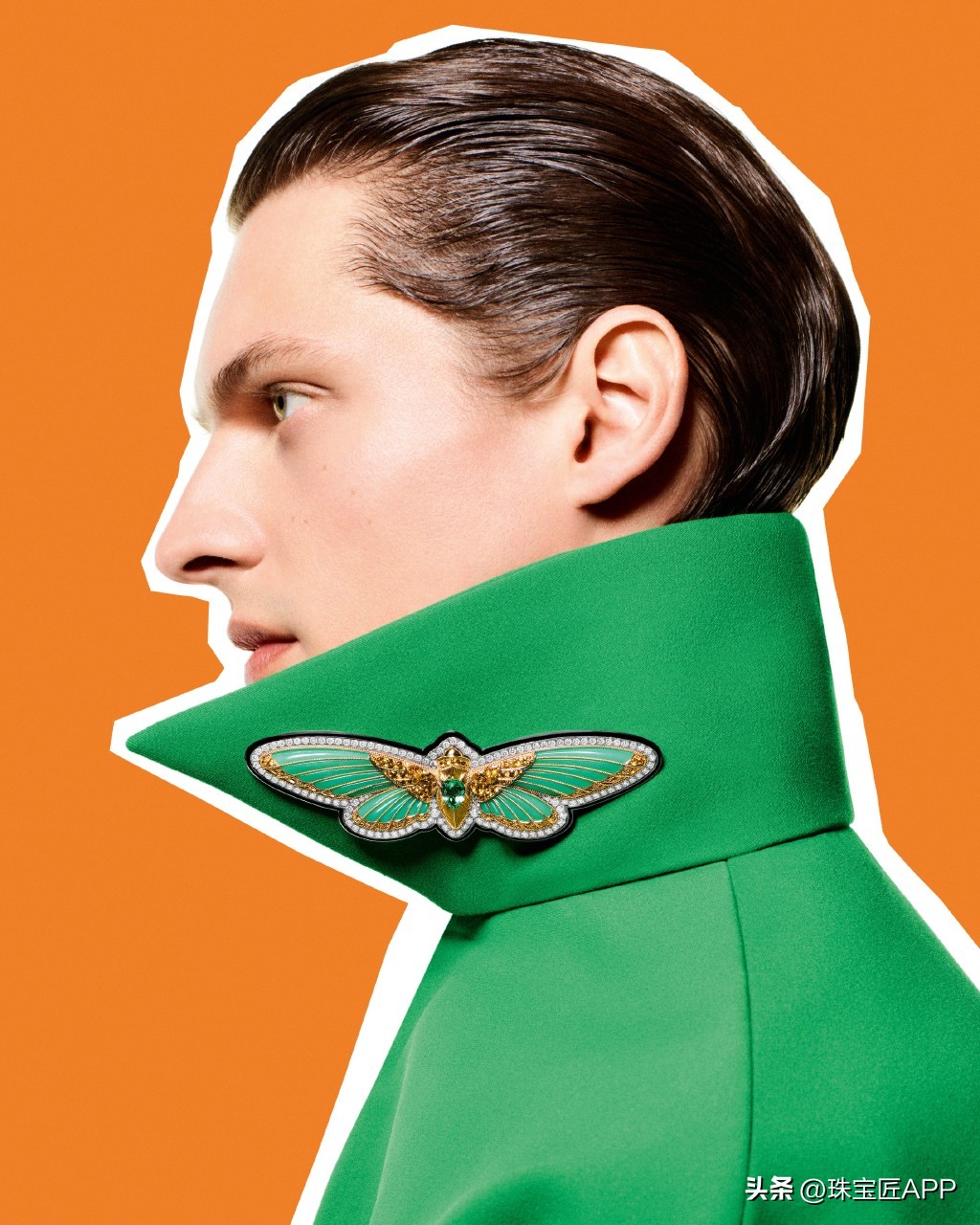 真香警告有哪些东西,真香警告收藏完整版