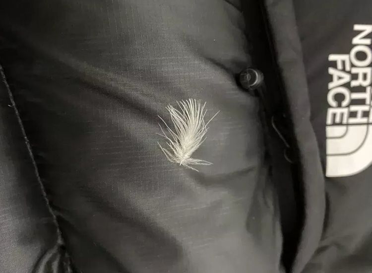 羽绒服便宜和贵的有什么区别 (几百元和几千的羽绒服有什么区别)