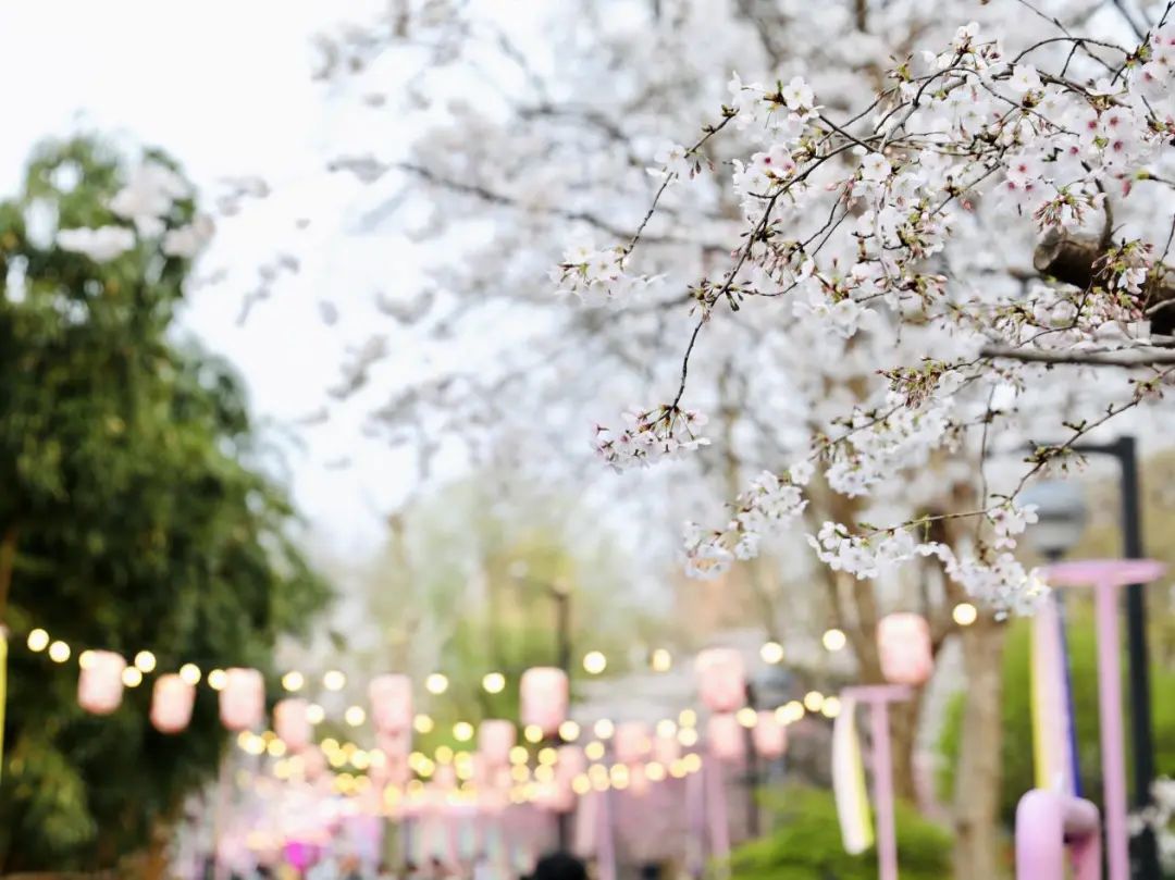 这个地方上榜啦!小虹带你足不出户,云赏美景!