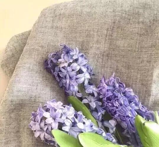 蓝颜知己歌曲,蓝颜知己是情人吗