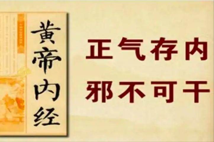 中医调理霉菌性阴道炎：重点在扶正，而不是“杀虫”