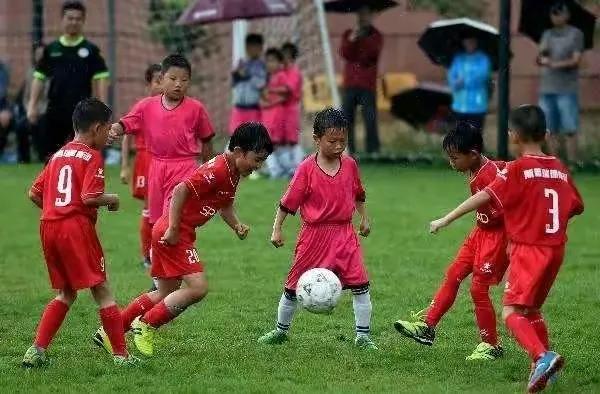 中国足球：大才（财）小才（财），都到我的碗里来！